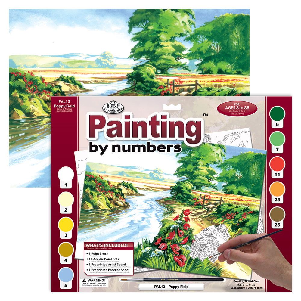 Paint By Numbers Poppy Fields