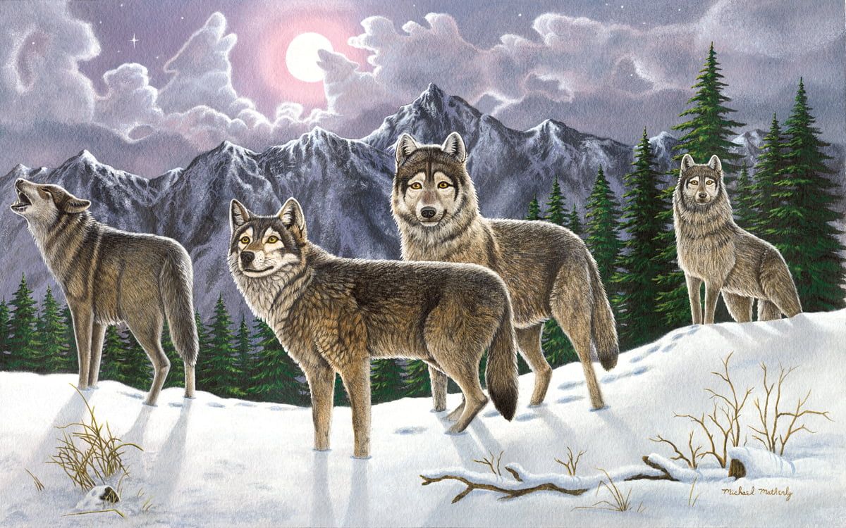 Paint By Numbers Wolves