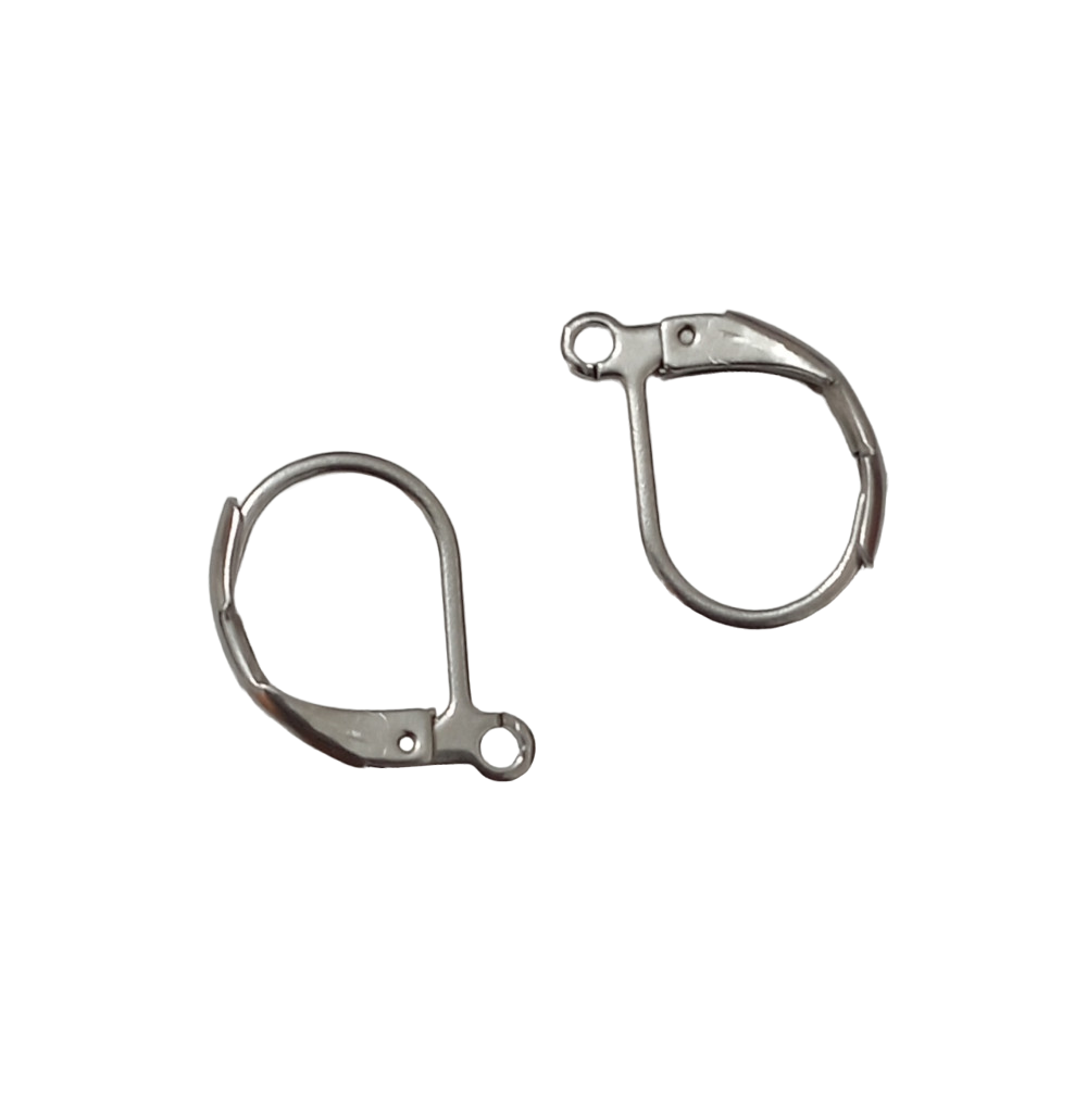 European Earwires - Stainless Steel