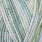 Bambino Prints DK Yo Yo