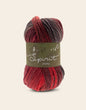 Hayfield Spirit Chunky - Joy