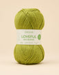 Sirdar Loveful Bio Blend DK, 100g - Distilled Green