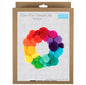 Pom Pom Wreath Kit - Rainbow