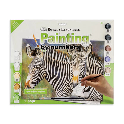 Paint By Numbers Grey's Zebra