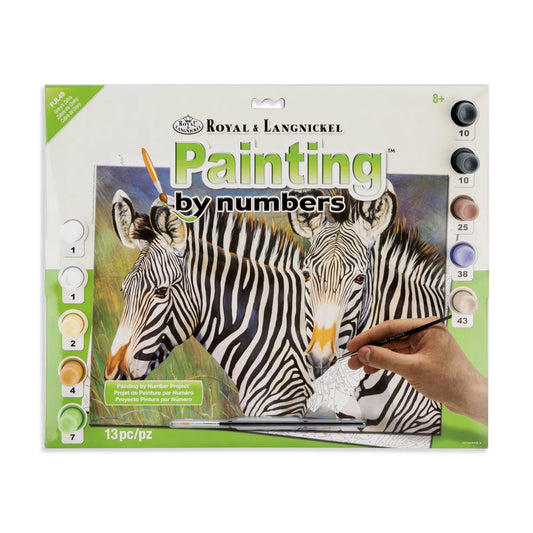 Paint By Numbers Grey's Zebra