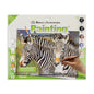 Paint By Numbers Grey's Zebra