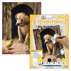 Paint By Numbers Labrador Puppy