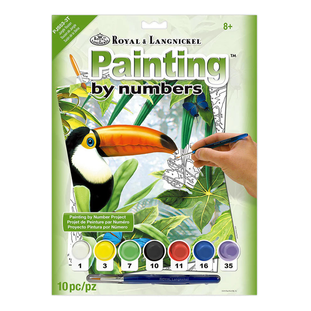 Paint By Numbers Jungle Toucan