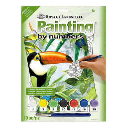 Paint By Numbers Jungle Toucan