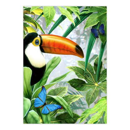 Paint By Numbers Jungle Toucan