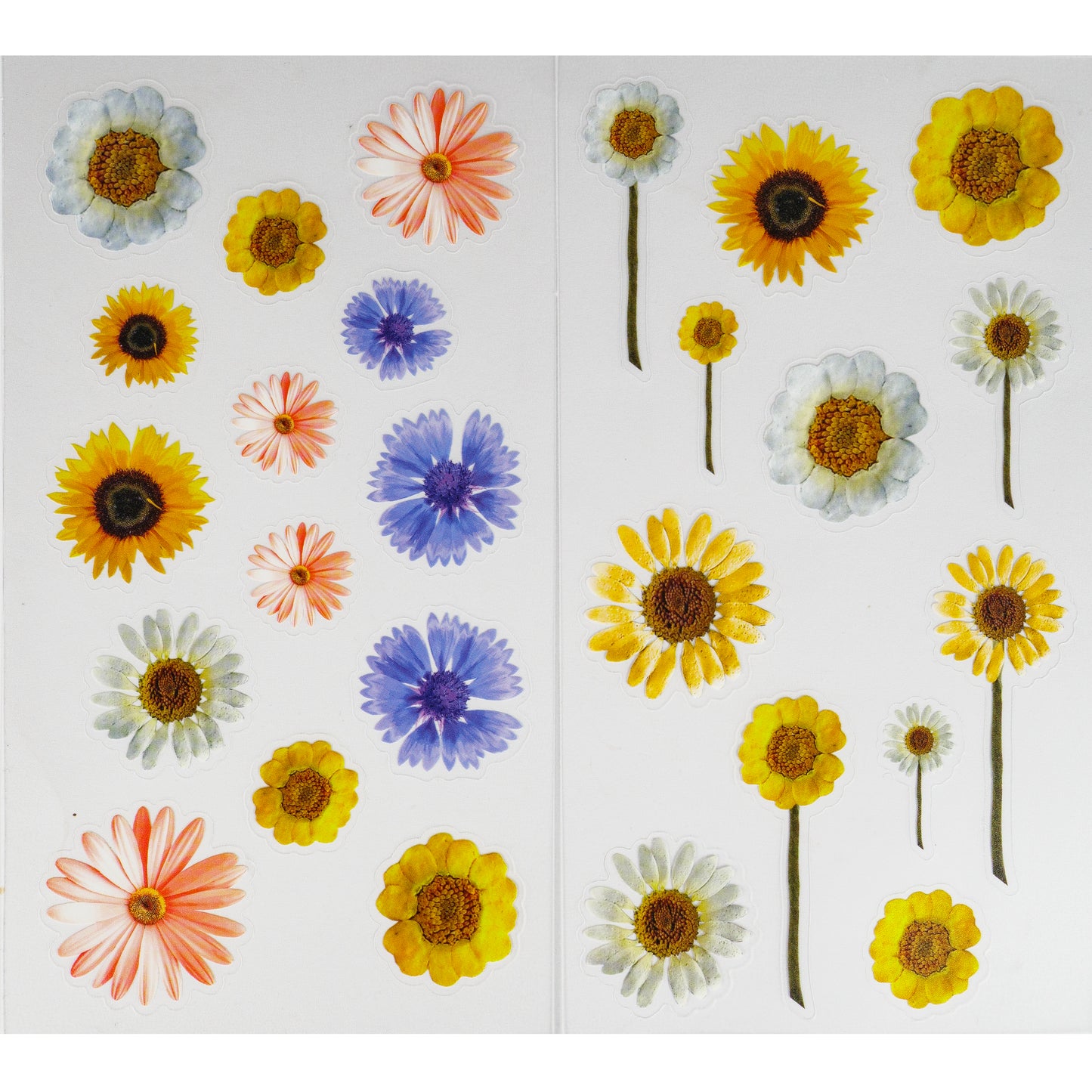PVC Matt Stickers - Flowers 1