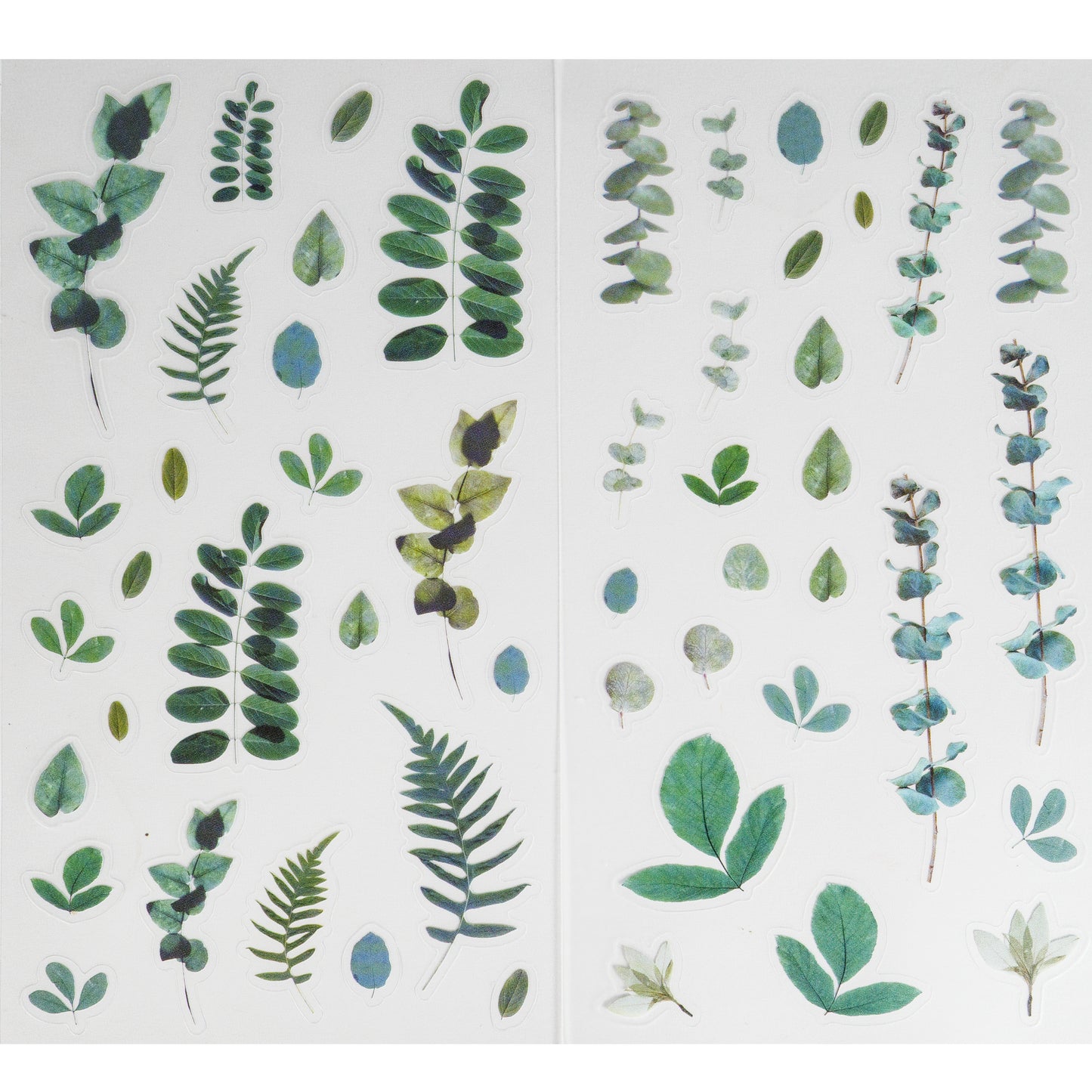 PVC Matt Stickers - Foliage