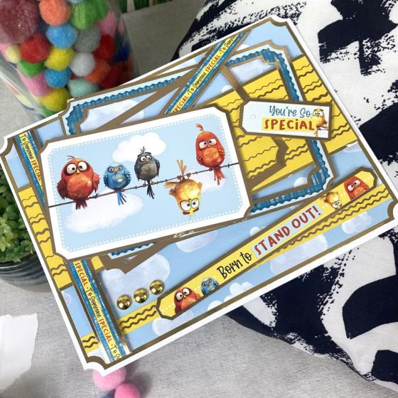 Bonkers Birds Luxury Card Topper Sheet