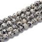 GEMSTONE - 6mm Dalmatian Jasper - 15 x Beads