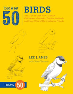 Draw 50 - Birds