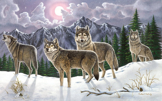Paint By Numbers Wolves