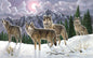 Paint By Numbers Wolves