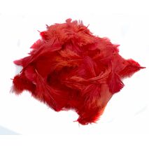 Turkey Coquille Feathers Red 5g