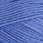 Special DK Bluebell