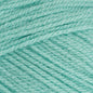 Special DK Spearmint