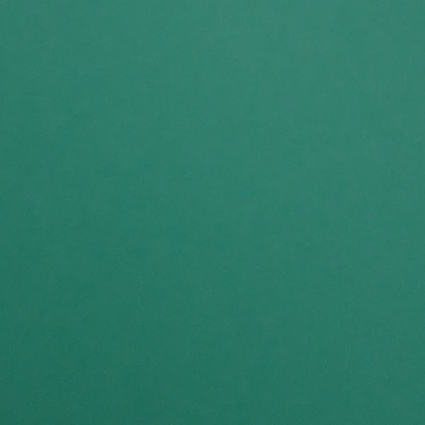 Alexander Paper - Bright Coloured Card - Deep Green A4 (10 Sheets)