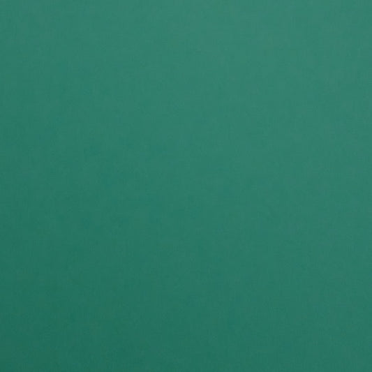 Alexander Paper - Bright Coloured Card - Deep Green A4 (10 Sheets)