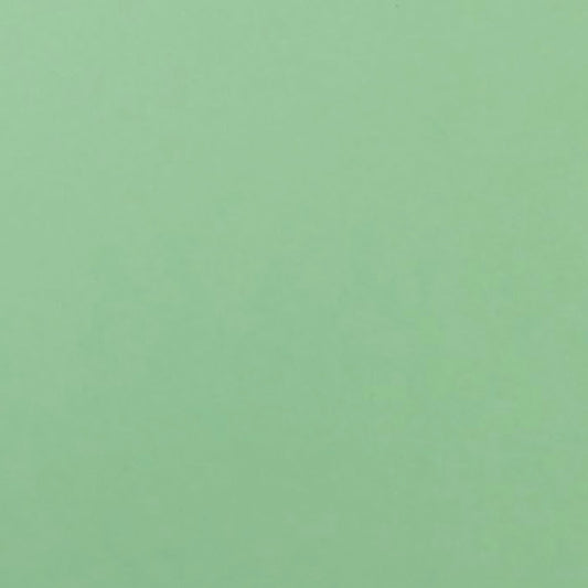 Alexander Paper - Pastel Coloured Card - Green A4 (10 Sheets)