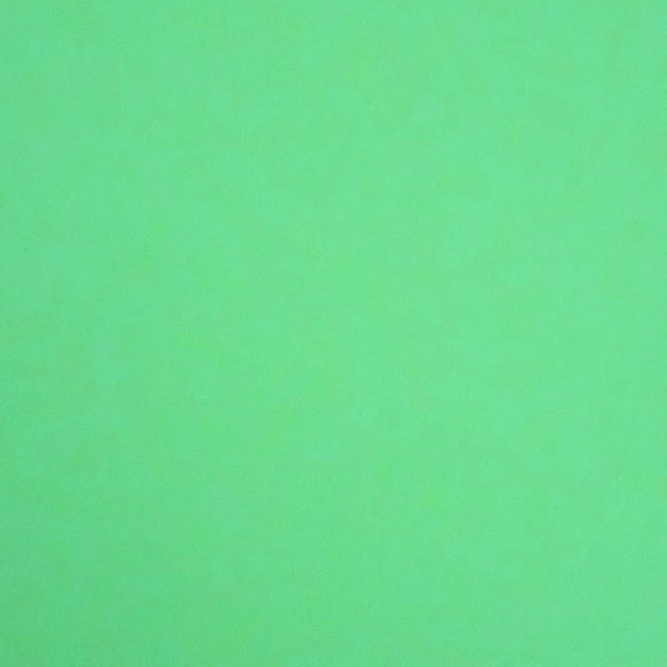 Alexander Paper - Bright Coloured Card - Light Green A4 (10 Sheets)