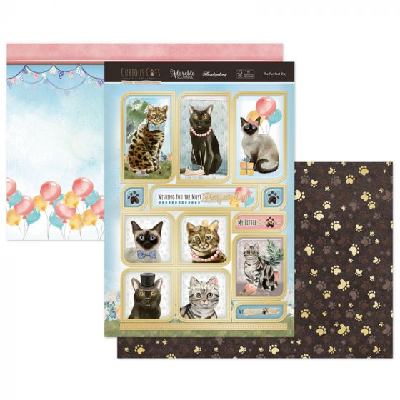 The Purrfect Day Luxury Topper Set