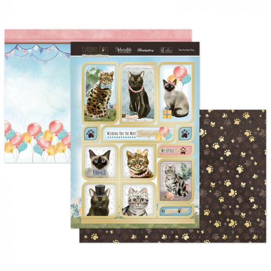The Purrfect Day Luxury Topper Set
