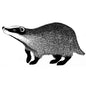 Clear Stamp - Badger 2