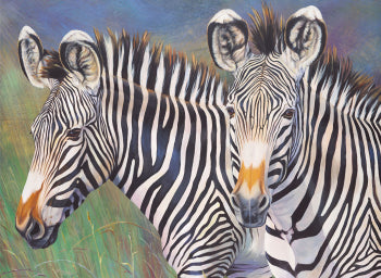 Paint By Numbers Grey's Zebra