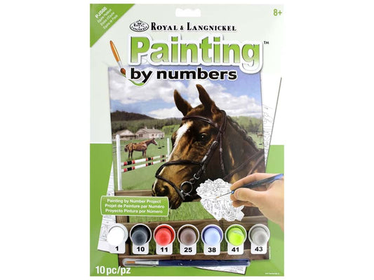 Paint By Numbers Equine Paddock