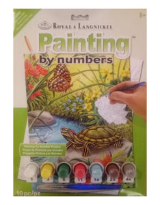 Paint By Numbers Red Eared Slider