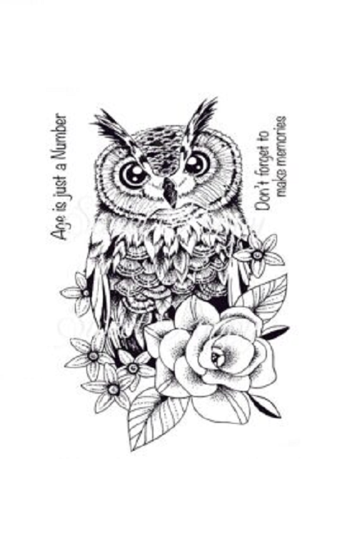 Sweet Poppy Stencil - Large Owl