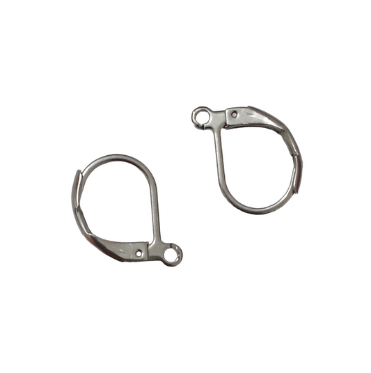 European Earwires - Stainless Steel