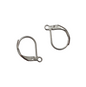 European Earwires - Stainless Steel